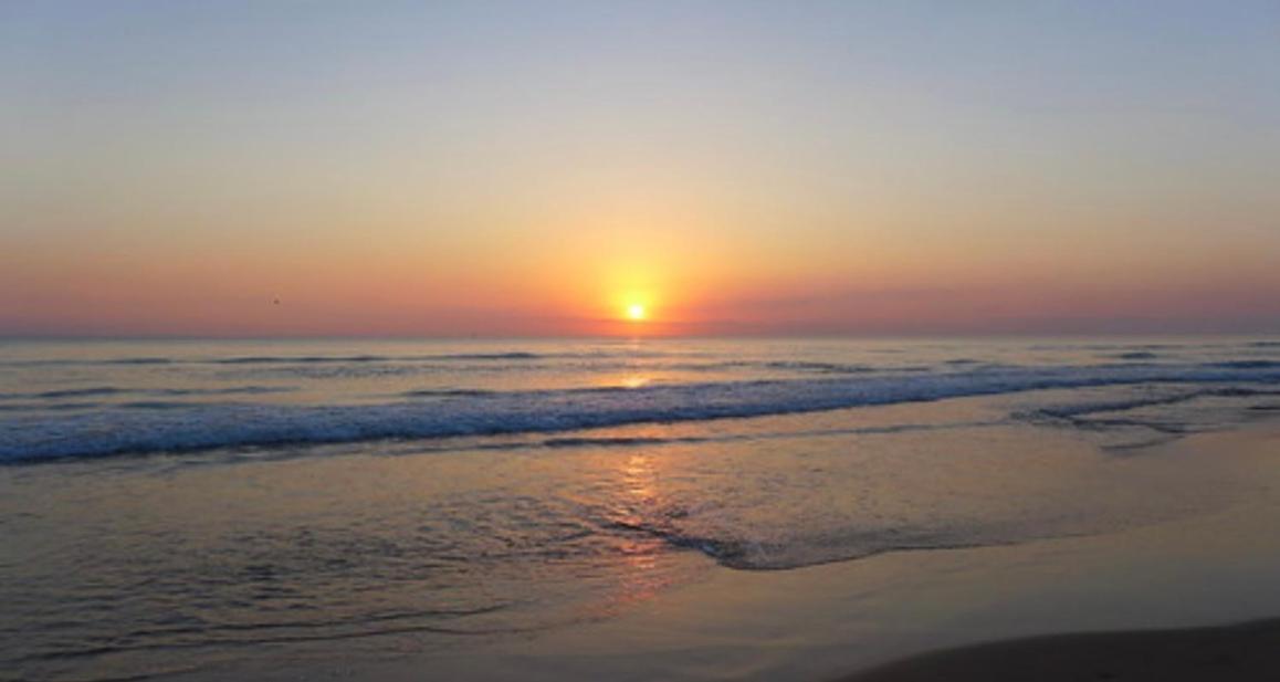 شقة Rincon De Maria- Segunda Linea De Playa-Ganador Traveller Awards 2025 Playa de Gandia المظهر الخارجي الصورة