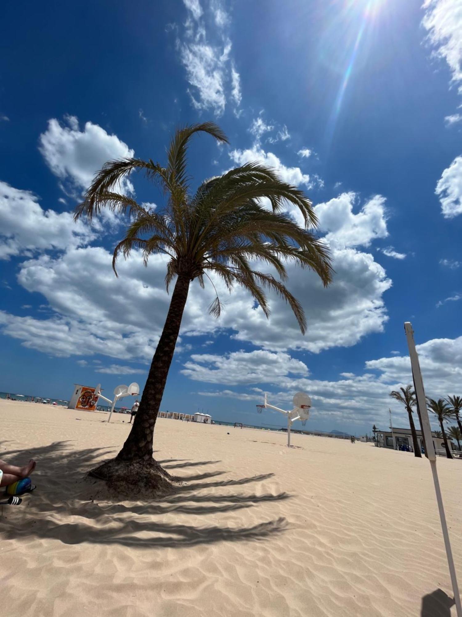 شقة Rincon De Maria- Segunda Linea De Playa-Ganador Traveller Awards 2025 Playa de Gandia المظهر الخارجي الصورة