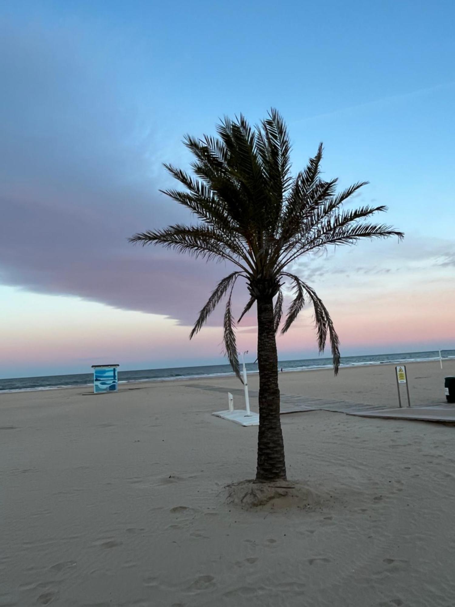 شقة Rincon De Maria- Segunda Linea De Playa-Ganador Traveller Awards 2025 Playa de Gandia المظهر الخارجي الصورة